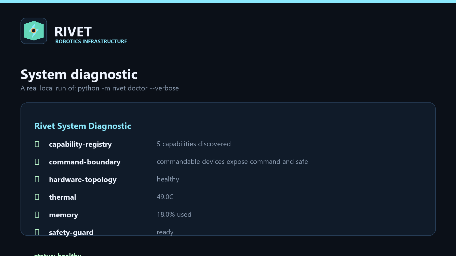 Rivet doctor diagnostic output showing a healthy simulated system