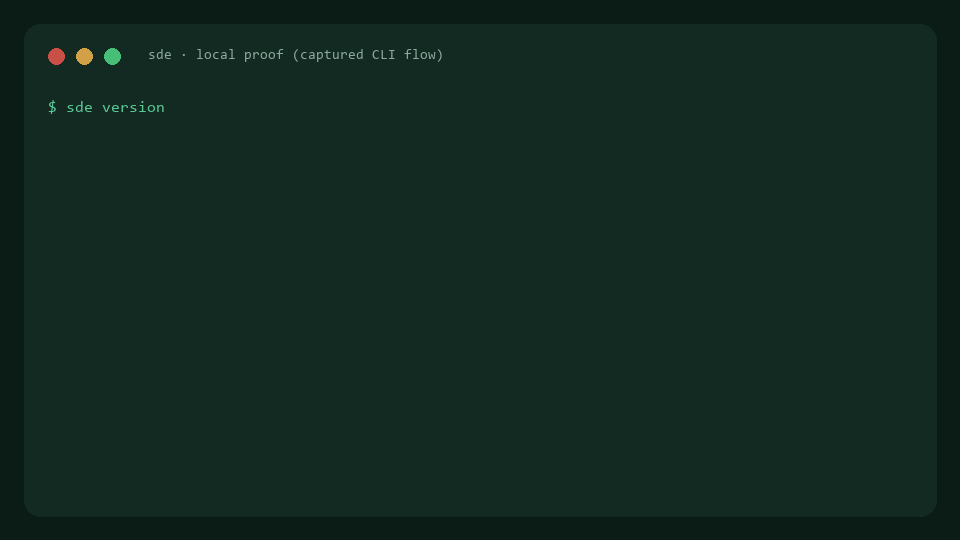 CLI doctor demo GIF